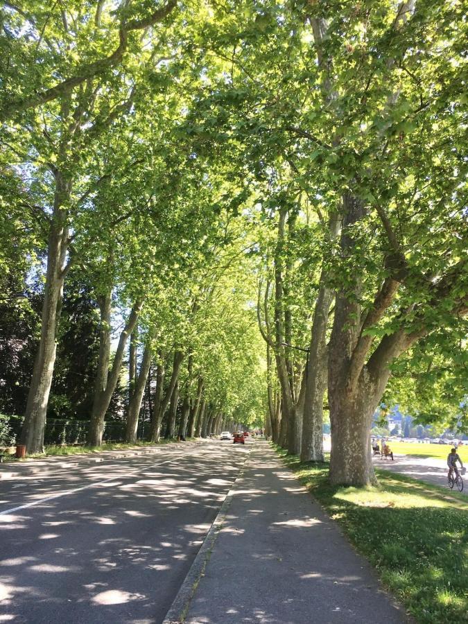 Annecy Center 2 Steps From The Lake Cozy And Renovated! ภายนอก รูปภาพ